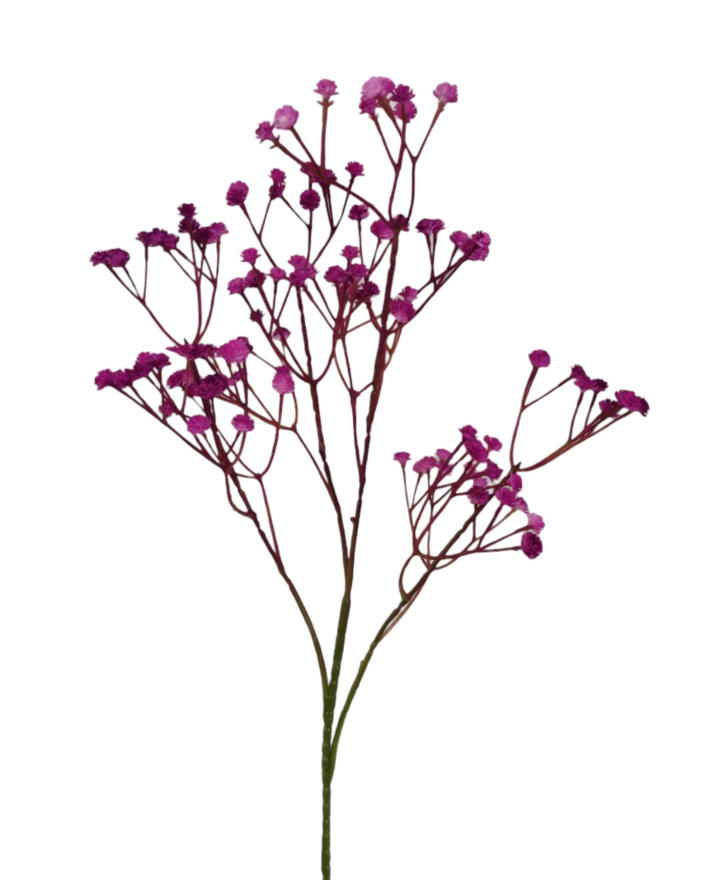 GYPSOPHILA X108 60CM PU
