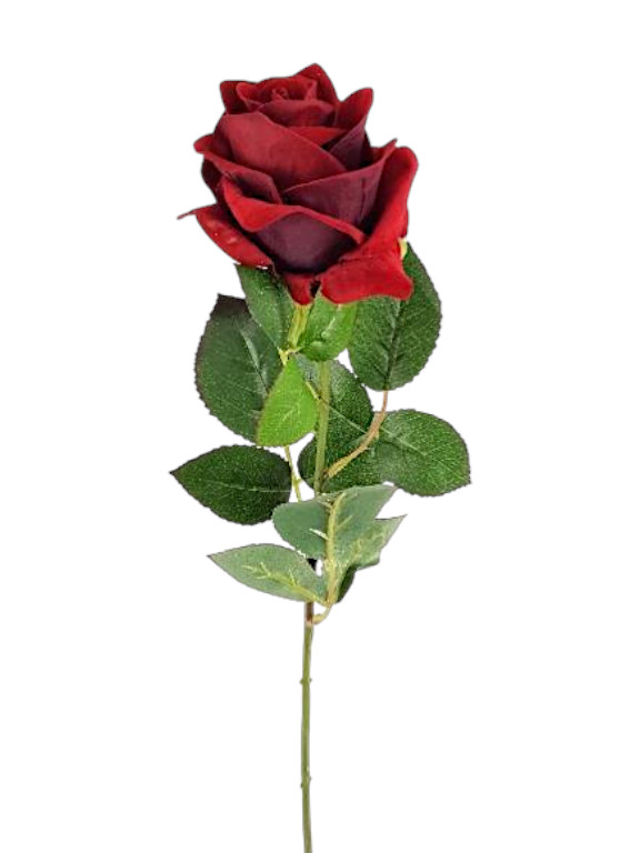 ROSA PASSION VELVET X1 61CM RD