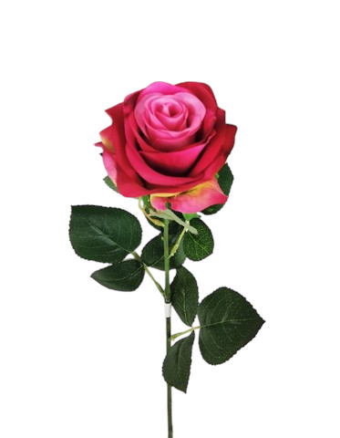 ROSA GOLDEN 65CM MV