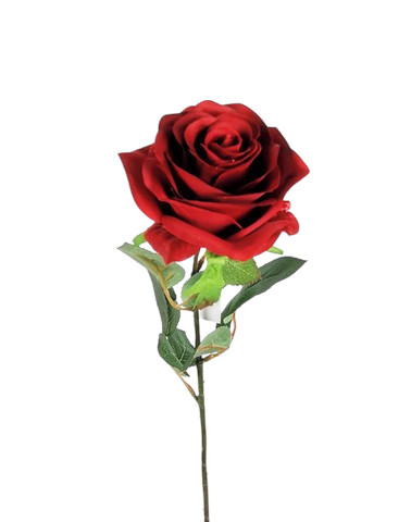 ROSA GOLDEN 65CM RD
