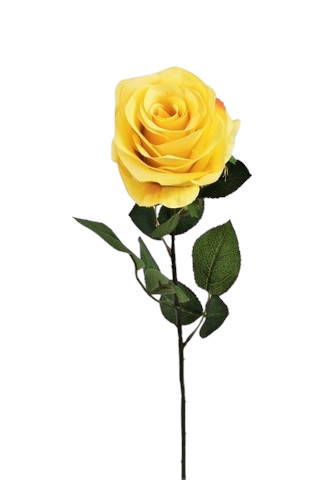 ROSA GOLDEN 65CM YL