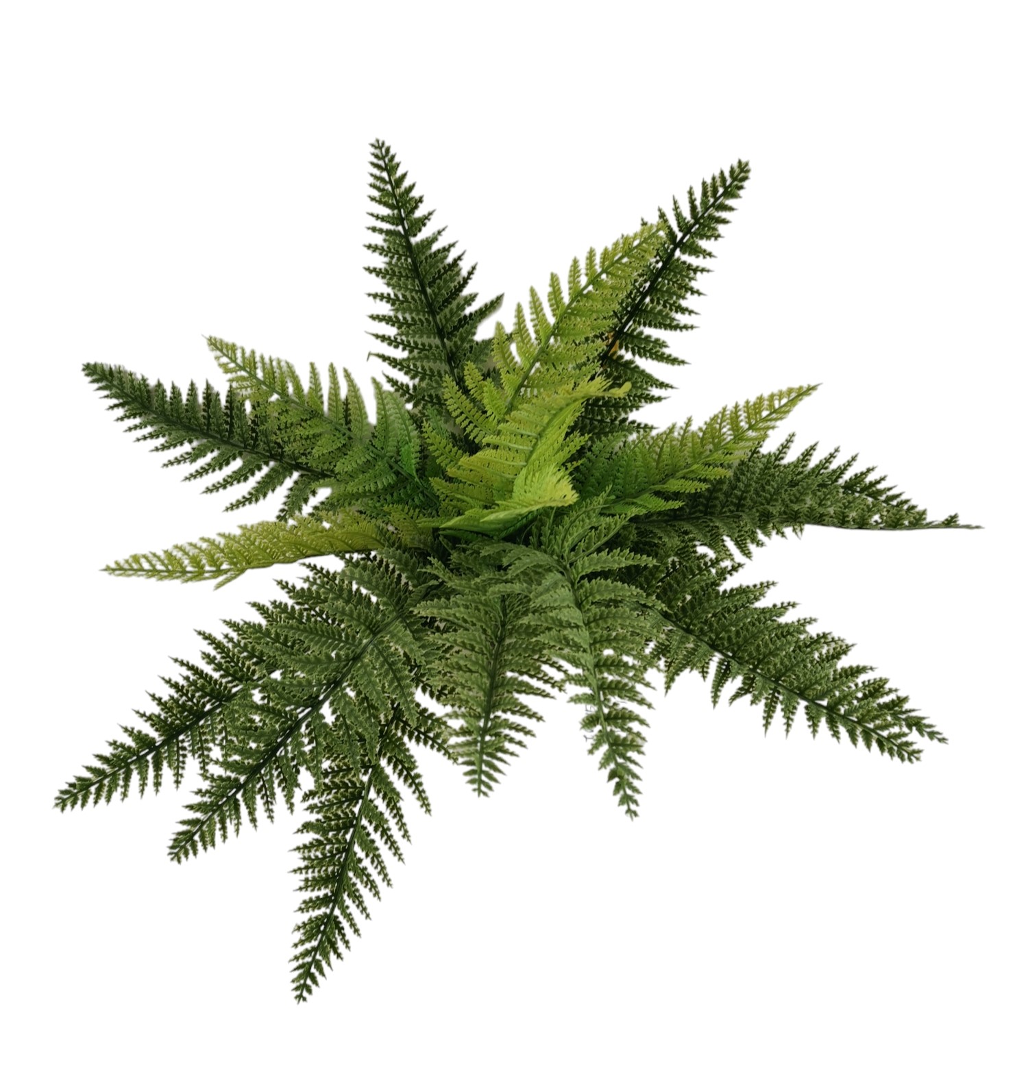 FELCE DOPPIA BUSH X18 H35CM, DIAM 50CM DKGR