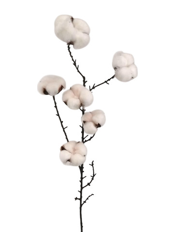 XMAS COTONE SPRAY X6 83CM WH