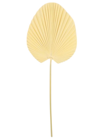 SS115BG
