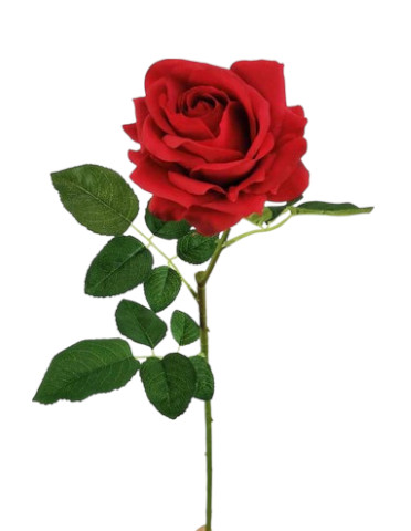 ROSA QUEEN SPRAY 63CM RD