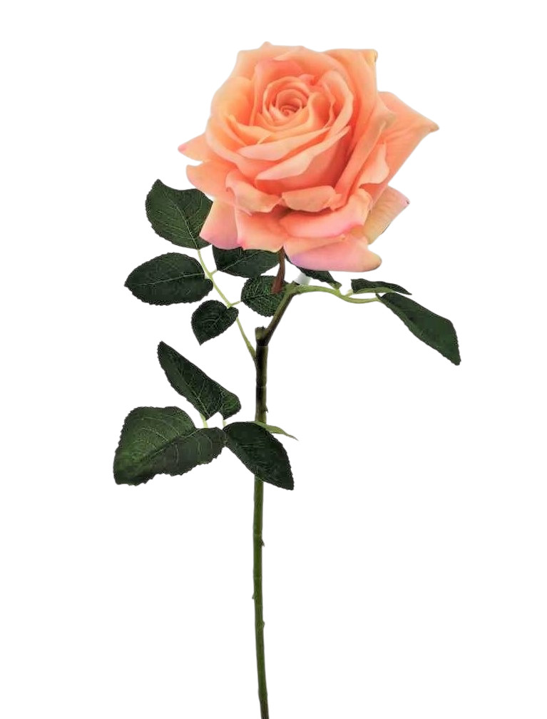 ROSA QUEEN SPRAY 63CM SA