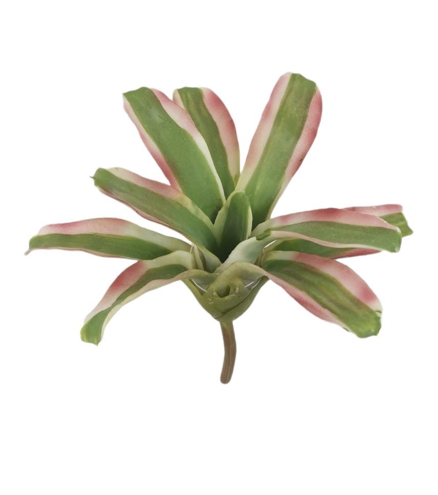 Prodotto