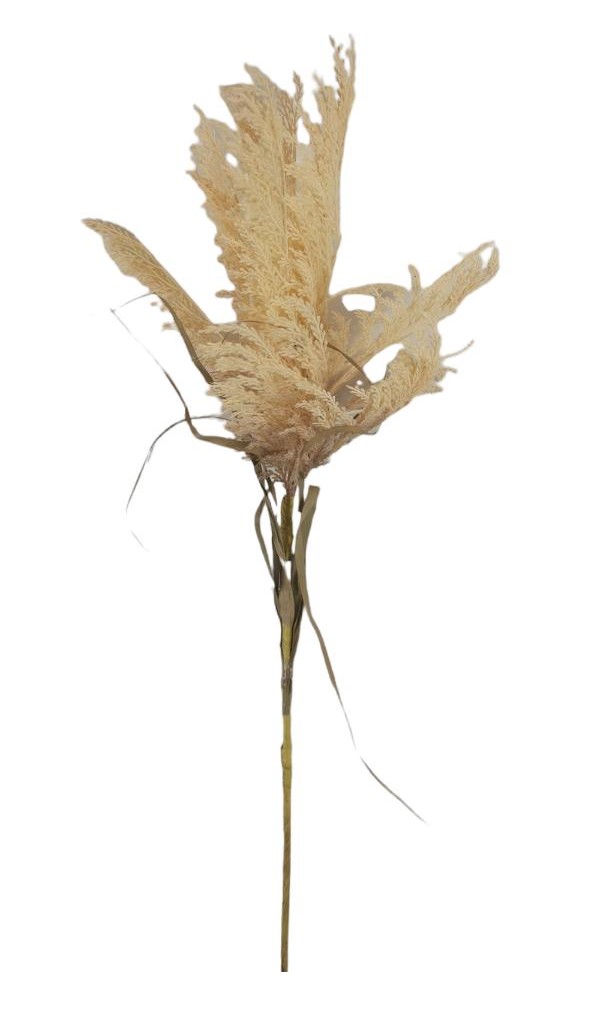 PAMPAS SPRAY DRY 130CM CR