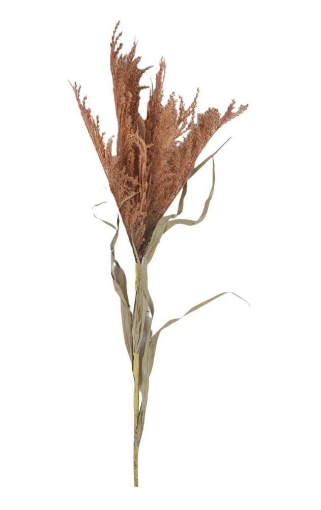 PAMPAS SPRAY DRY 130CM OR