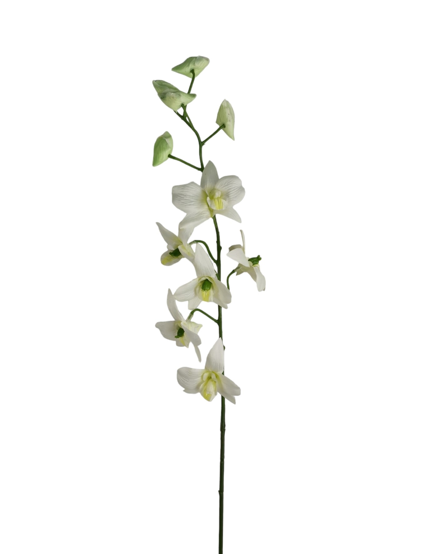 DENDROBIUM SPRAY 82CM CR