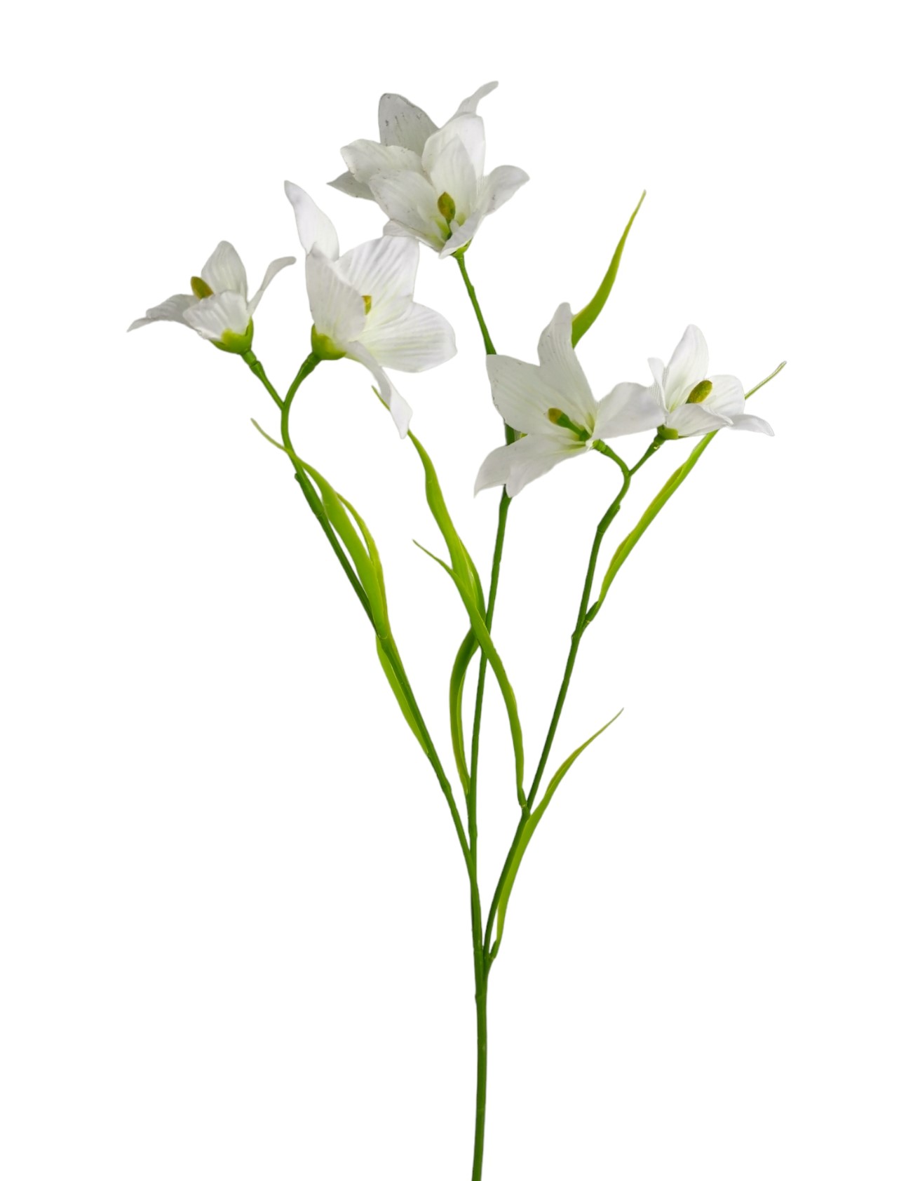 CAMPANULA SPRAY X3 63CM WH