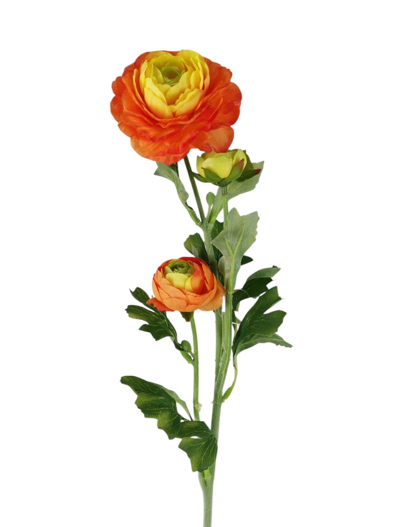 RANUNCOLO X3 64CM OR