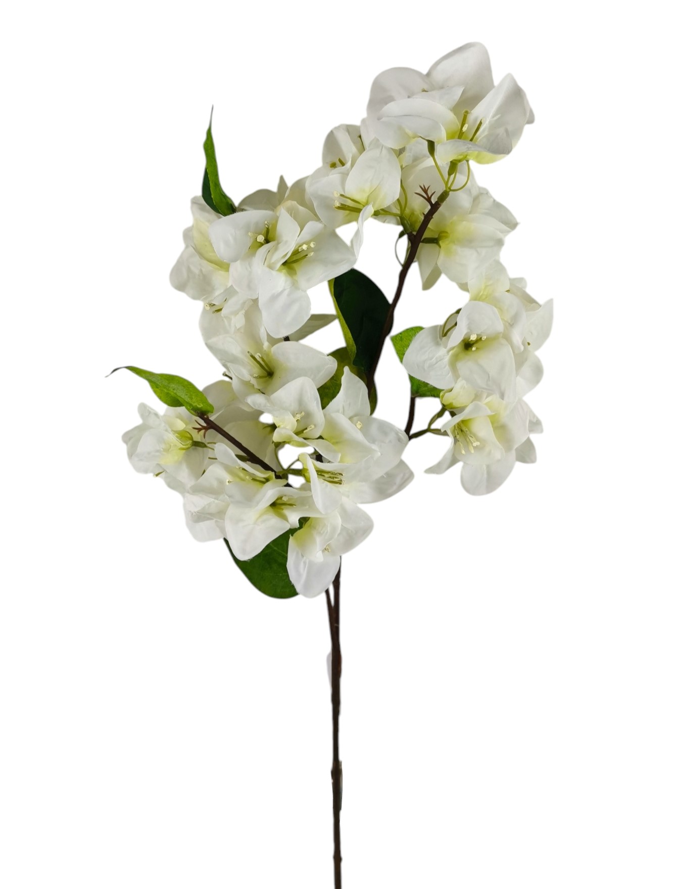 BOUGAINVILLEA SPRAY X3 68CM CR