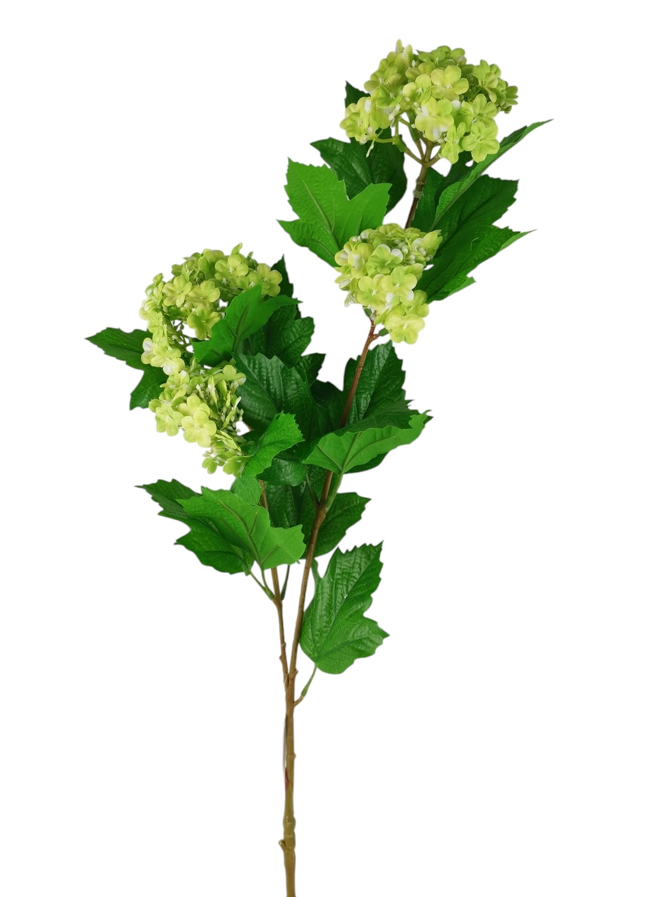 VIBURNUM SPRAY X4 78CM GR
