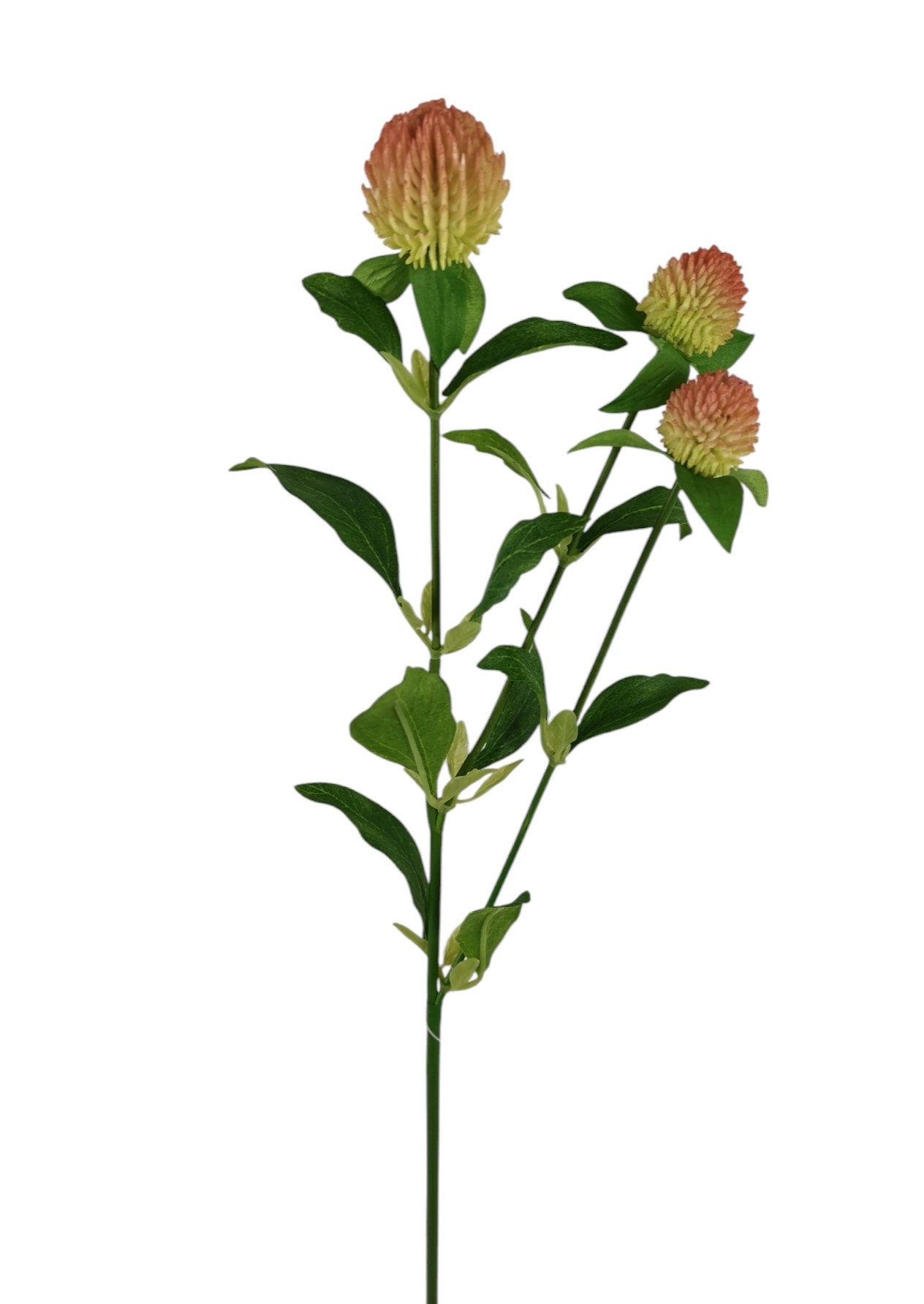 PON PON SPRAY X3 59CM SA