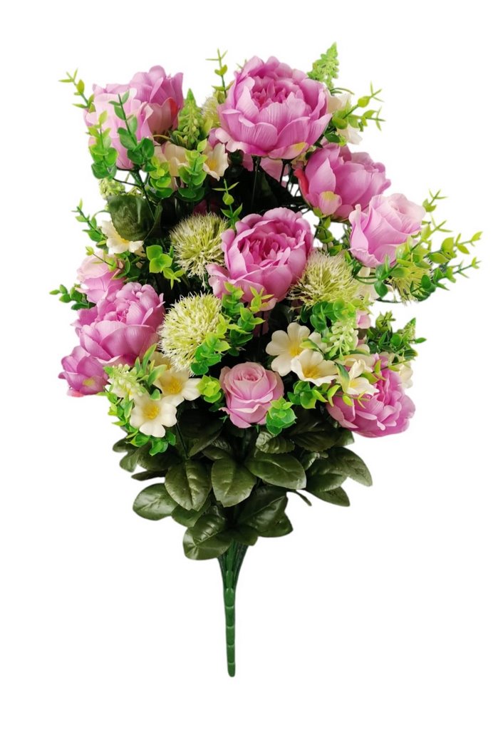 BUSH PEONIA BOCCIOLO X36 68CM PU