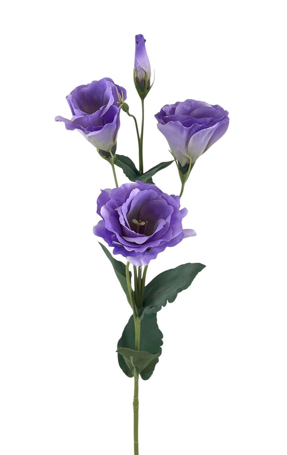 LISIANTHUS SPRAY X4 68CM LV