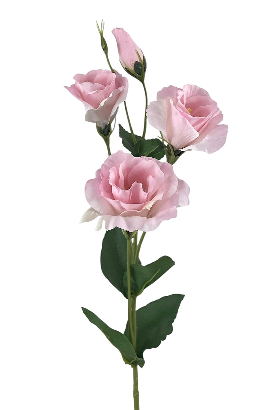 LISIANTHUS SPRAY X4 68CM PK