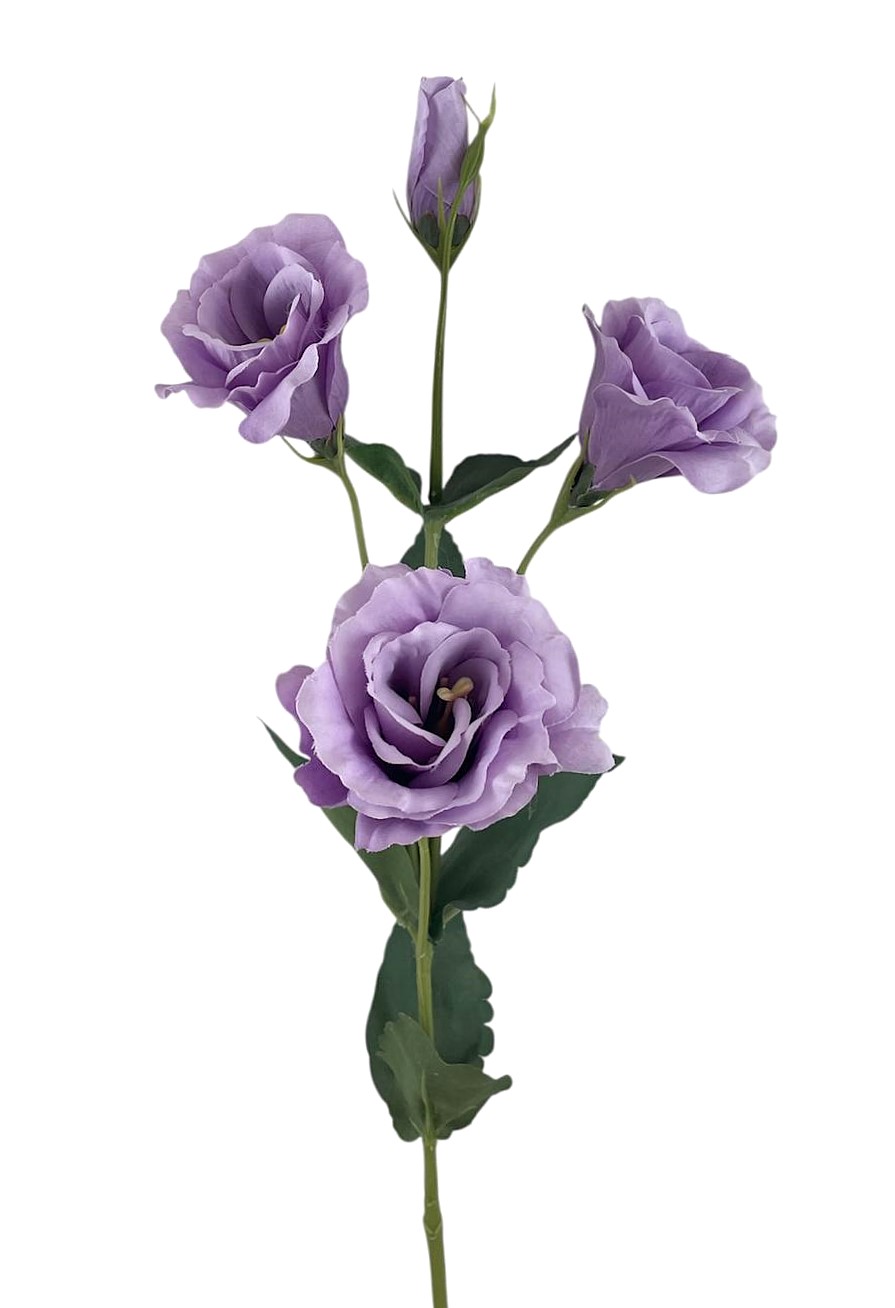 LISIANTHUS SPRAY X4 68CM PU