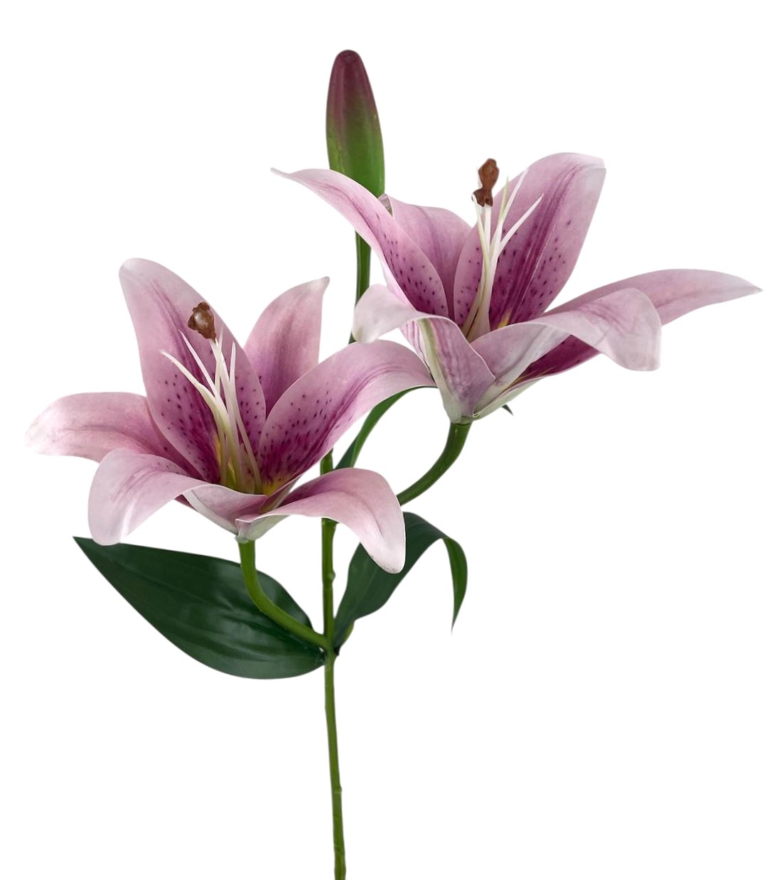 LILIUM SPRAY X3 62CM LV