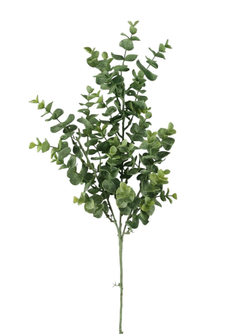 EUCALIPTO SPRAY X3 64CM GR