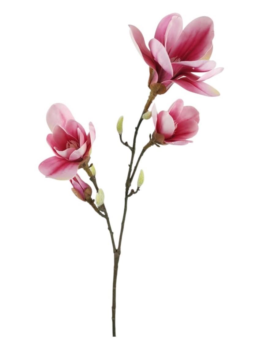 MAGNOLIA SPRAY X2 85CM MV