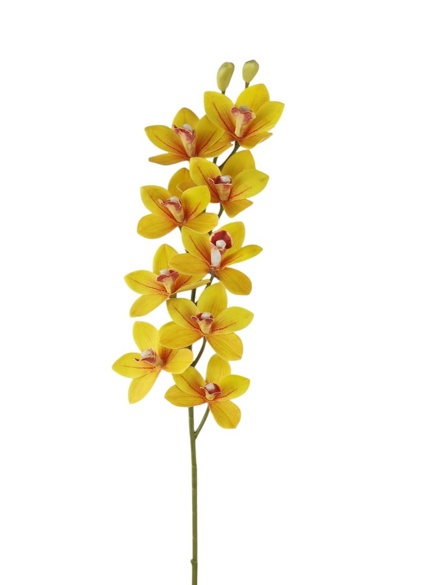 CYMBIDIUM SPRAY 9 FLR 2 BUD 79CM YL