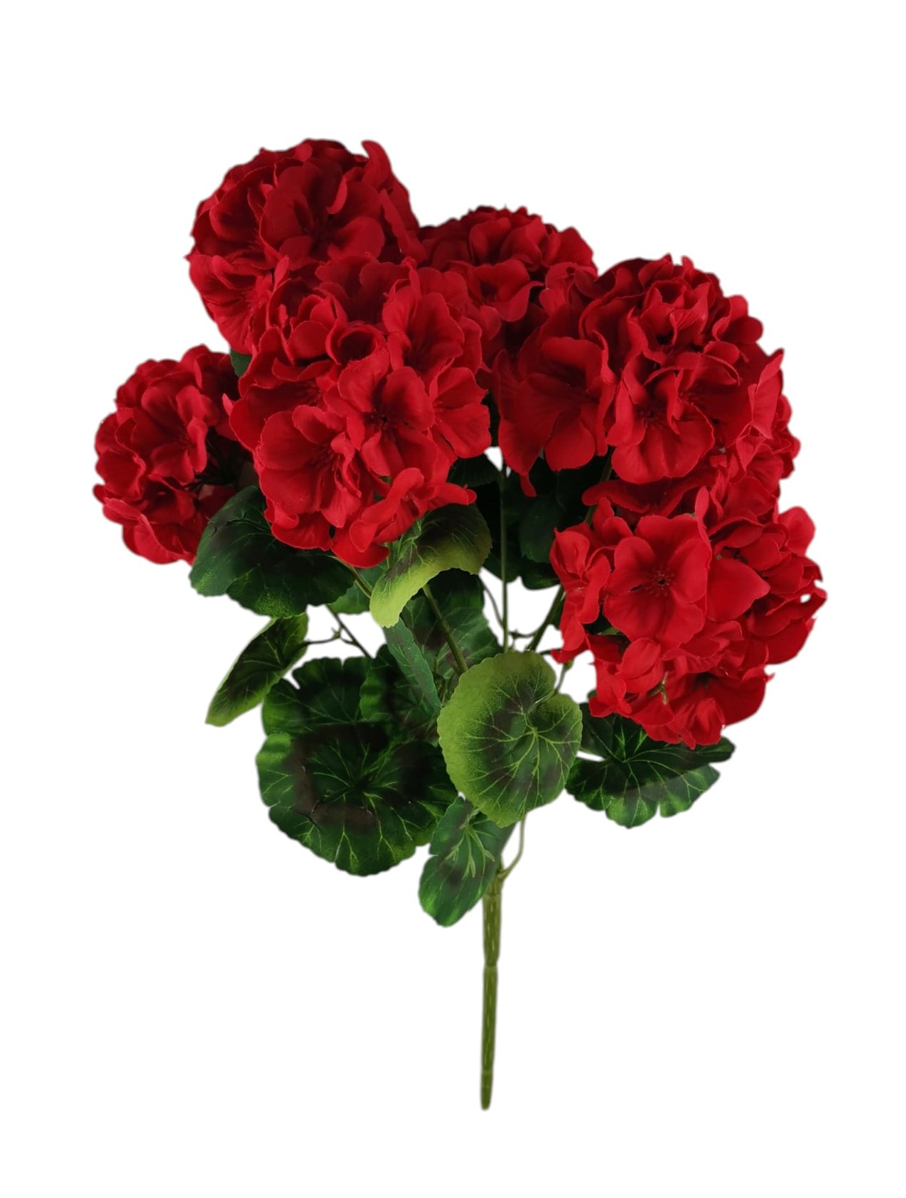 GERANEO BUSH X7 46CM RD