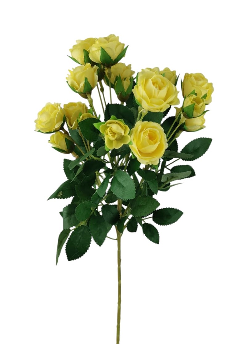 ROSA VIVIAN SPRAY X19 60CM YL