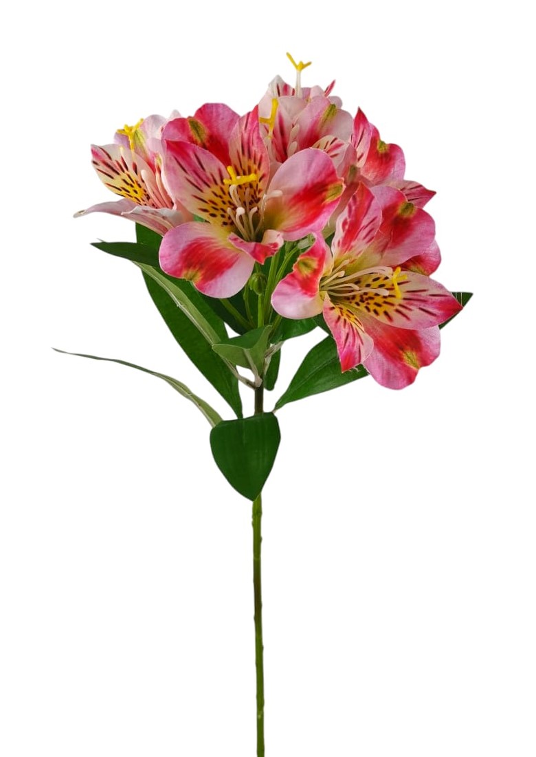 ALSTROMERIA SPRAY 60CM MV