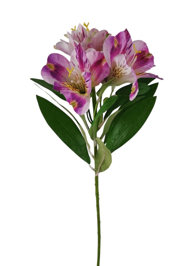 ALSTROMERIA SPRAY 60CM PU
