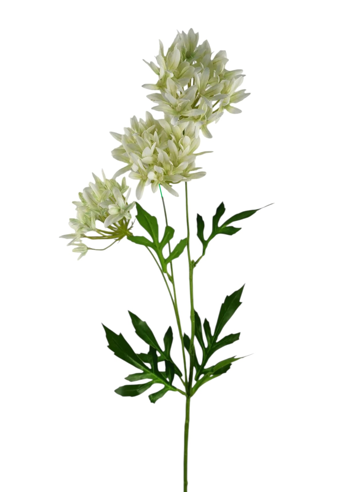 ALLIUM SPRAY X3 72CM WH