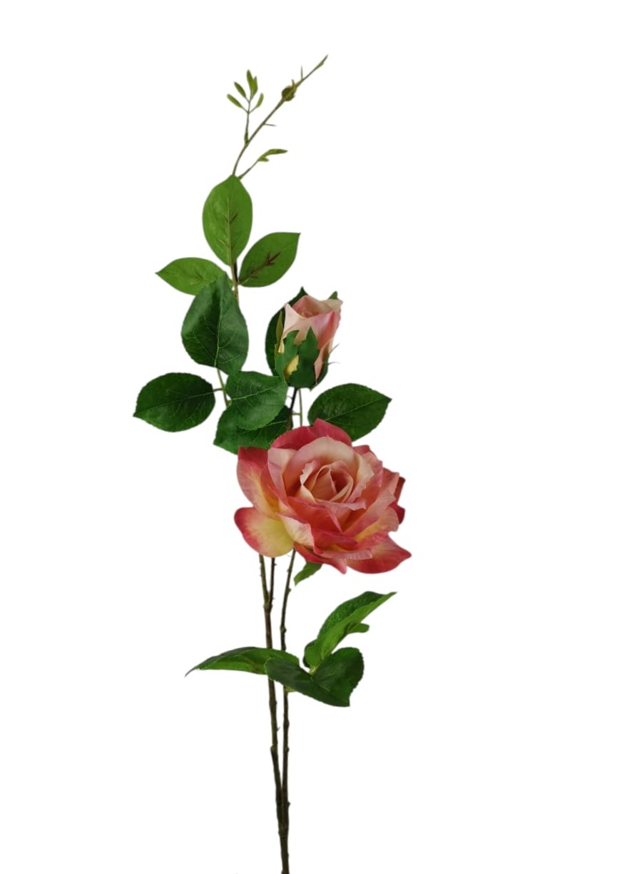 ROSA DIAMOND X3 68CM PC