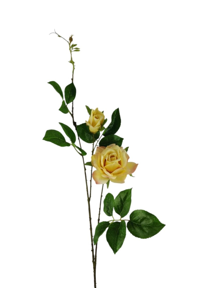 ROSA DIAMOND X3 68CM YL