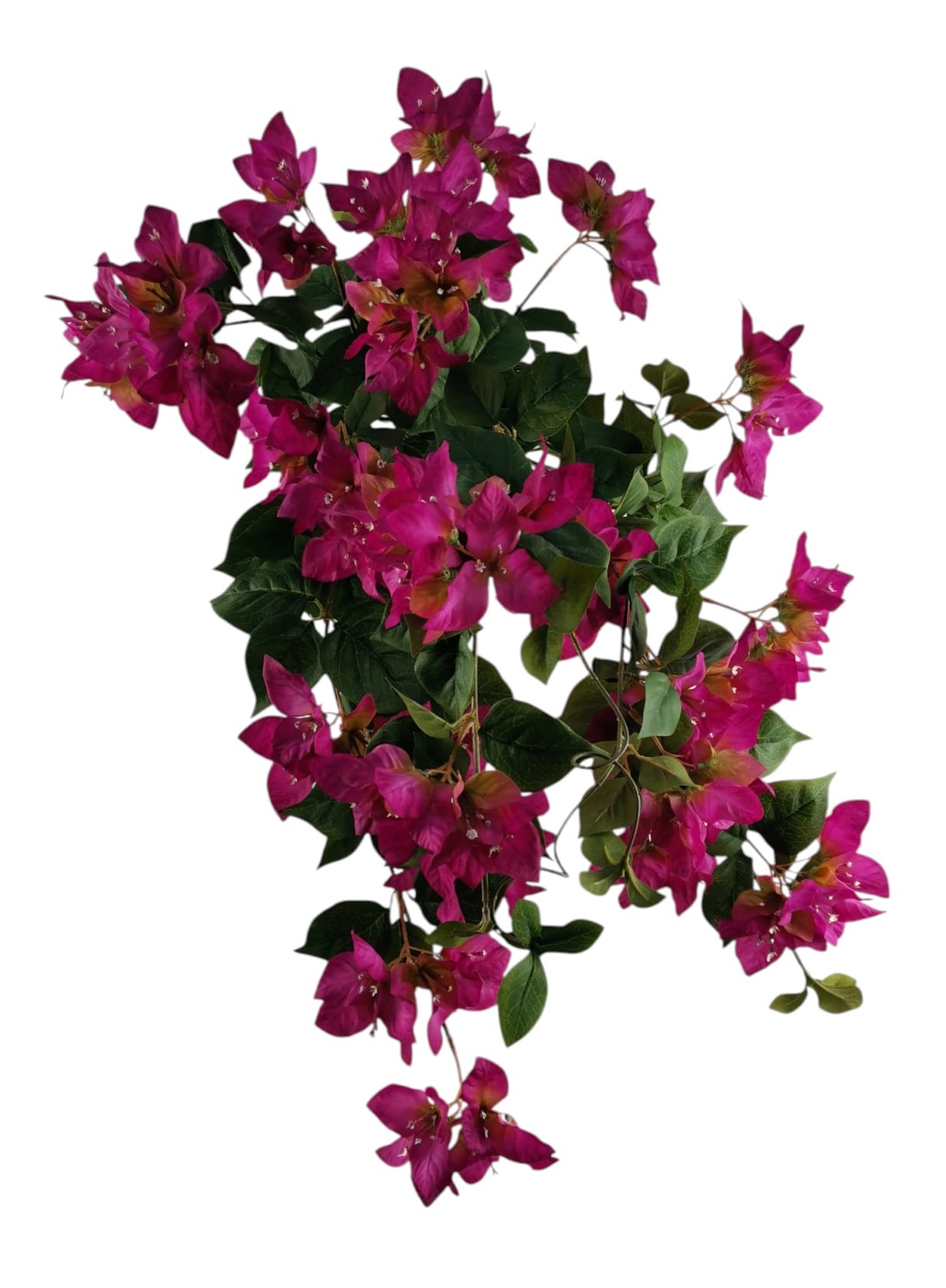 CADENTE BOUGAINVILLEA X12 63CM PU