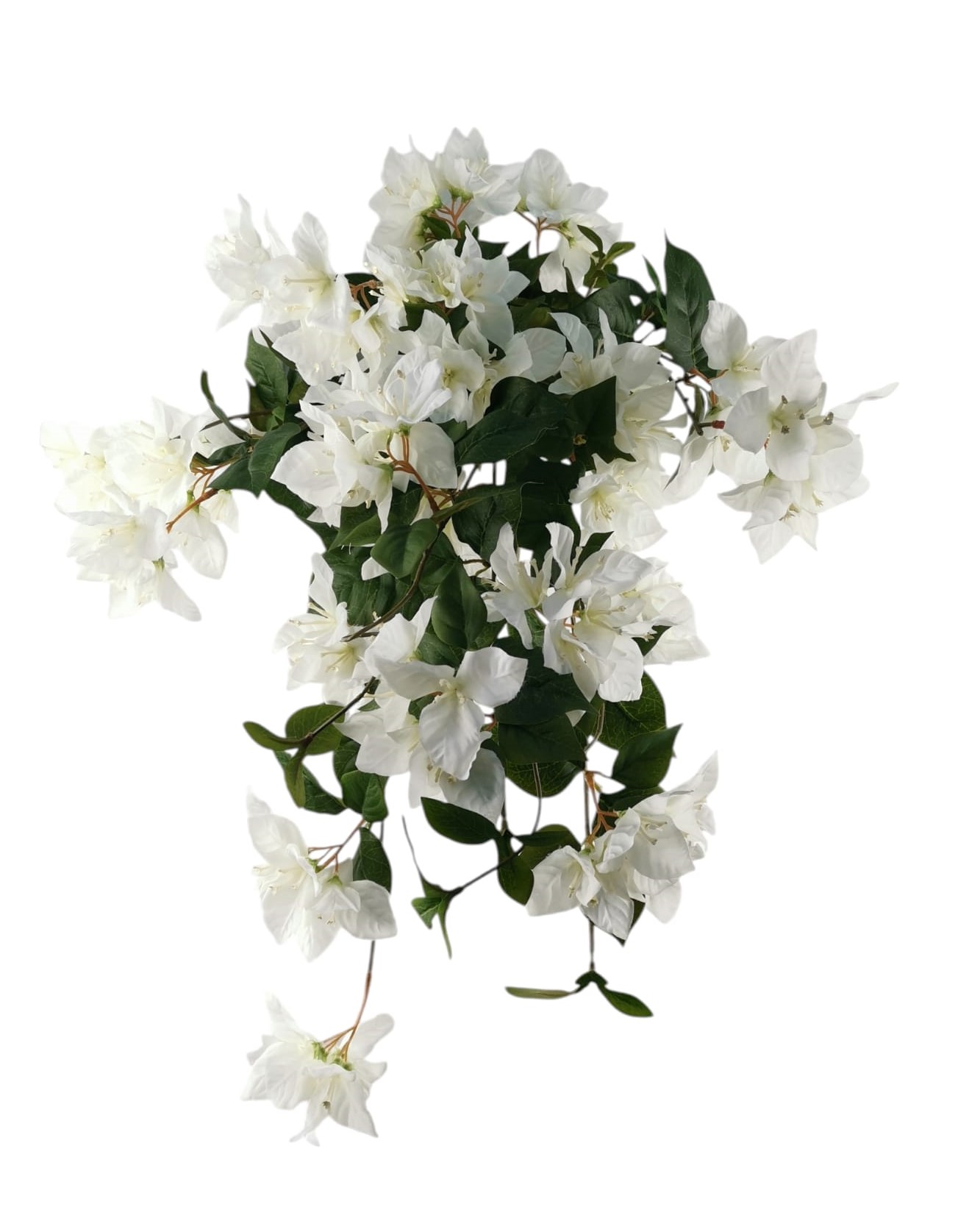CADENTE BOUGAINVILLEA X12 63CM WH