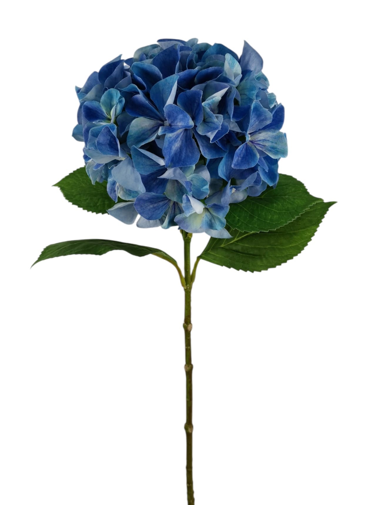 ORTENSIA SPRAY 65CM BL