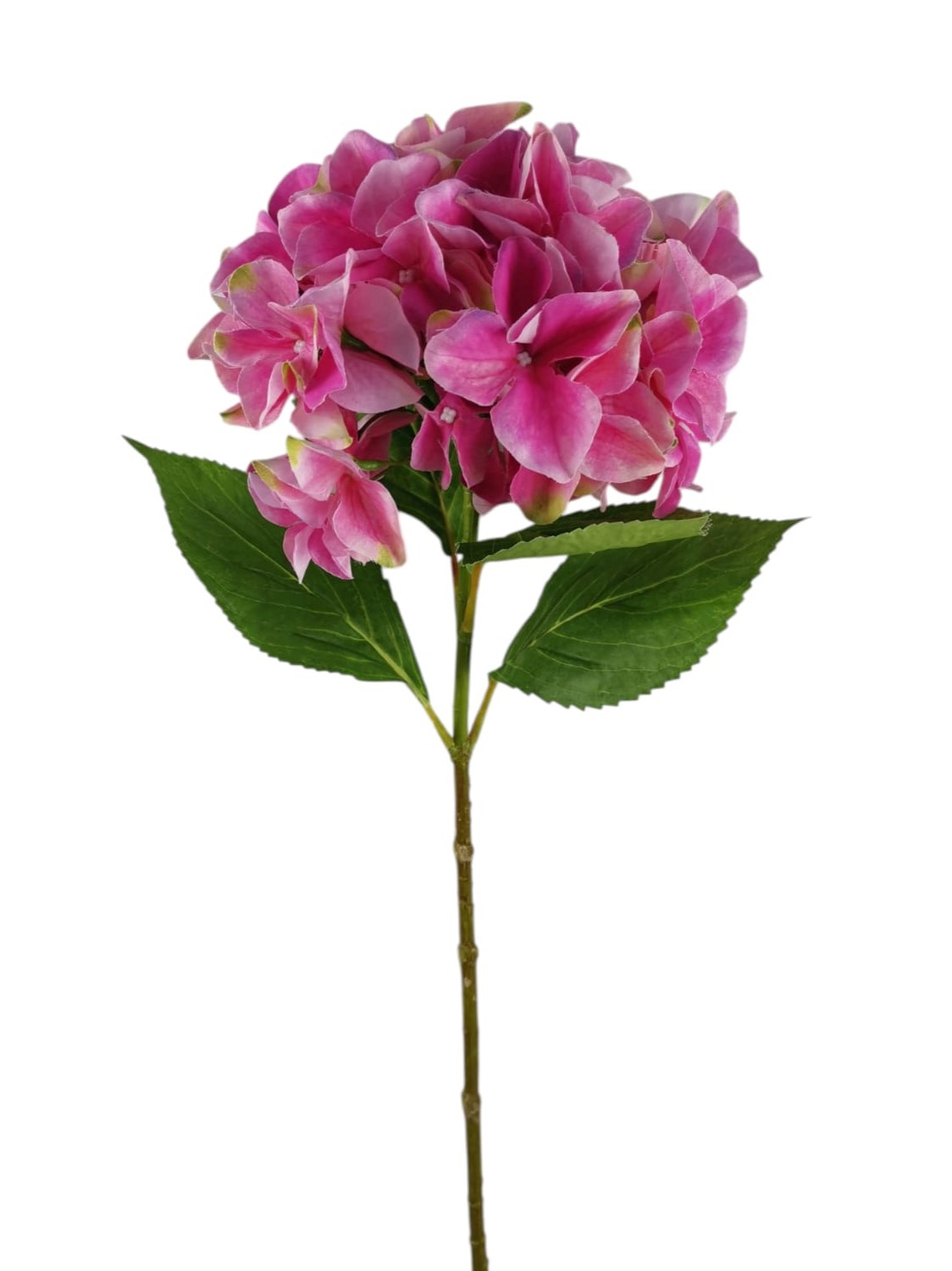 ORTENSIA SPRAY 65CM BT