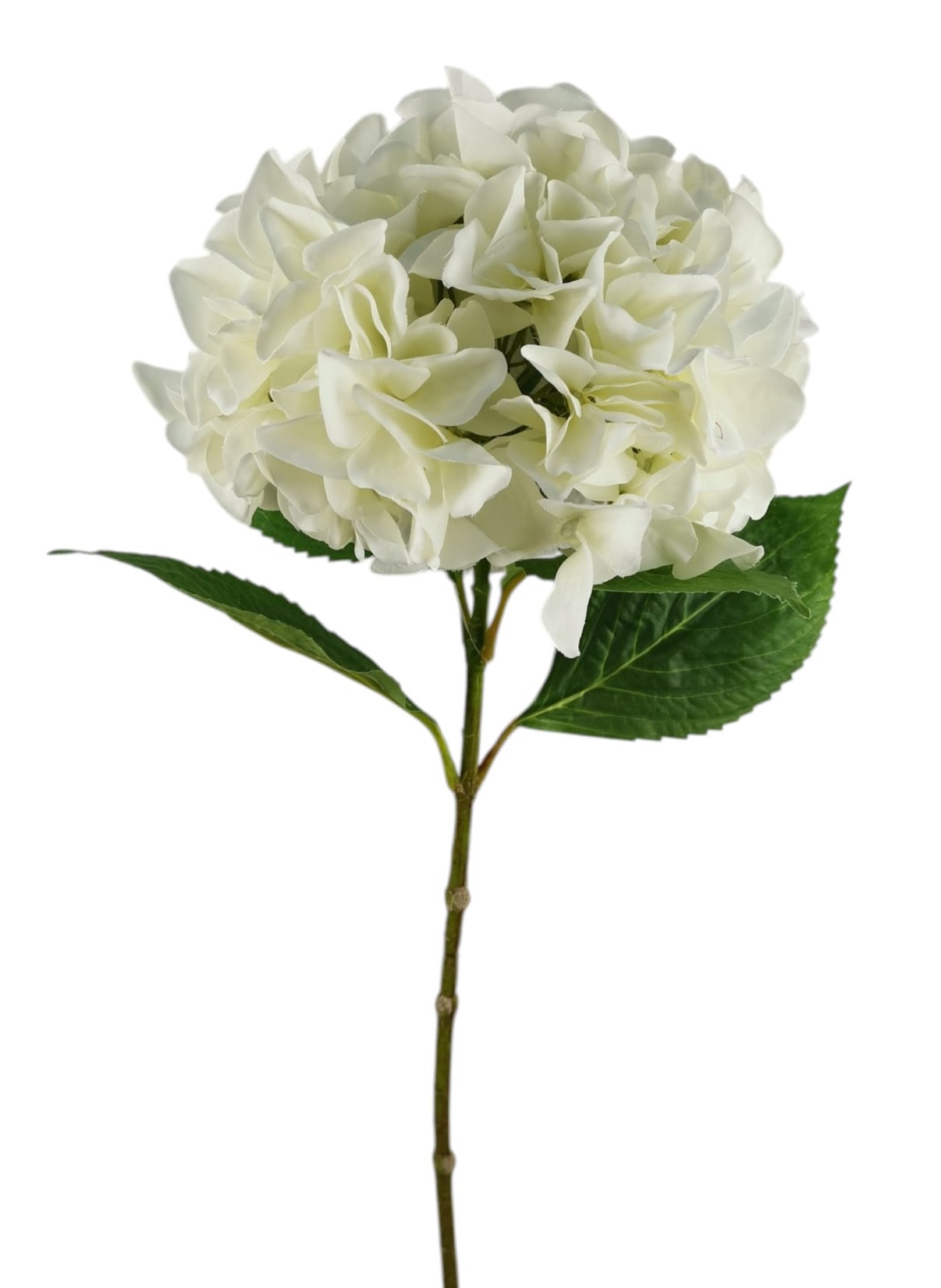 ORTENSIA SPRAY 65CM WH
