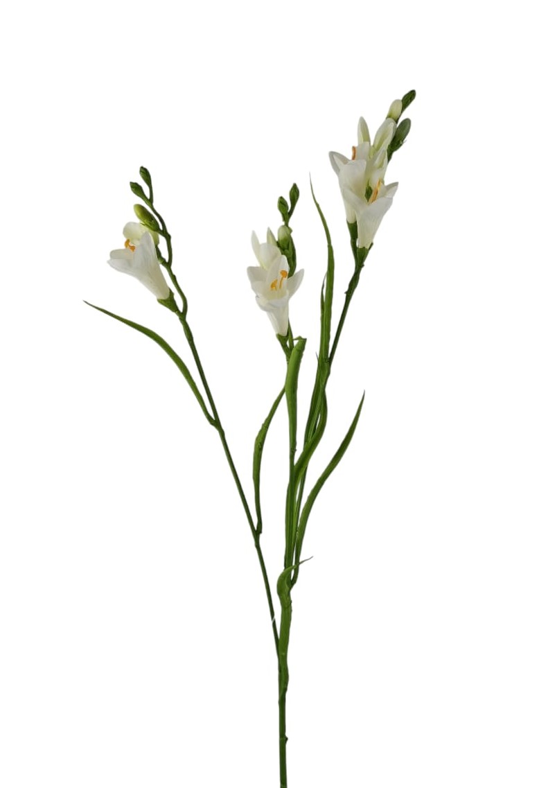 FRESIA SPRAY X3 63CM CR