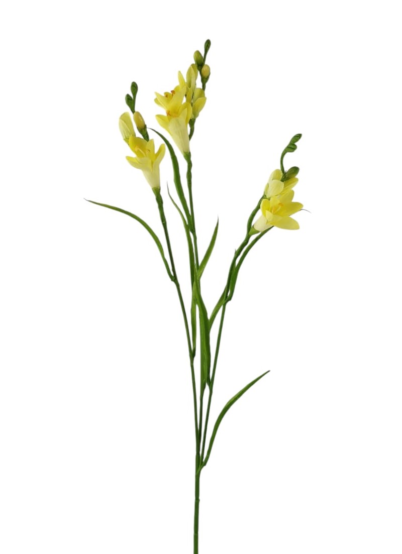 FRESIA SPRAY X3 63CM YL
