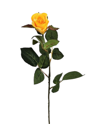 BOCCIOLO GOLD 62CM YL