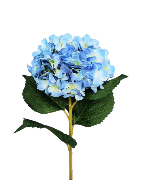 ORTENSIA LUNA 82CM BL