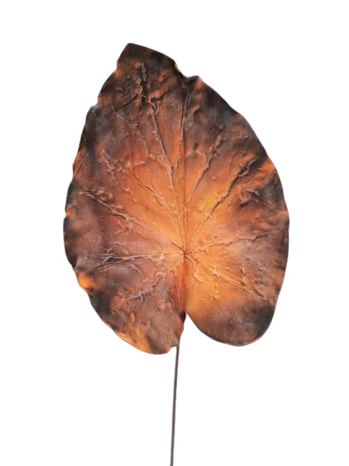 FG DI ANTHURIUM FOAM 110CM OR