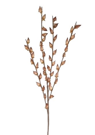 RAMO GEMME FOAM 120CM BG