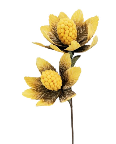 ANANAS X2 FOAM 123CM YL
