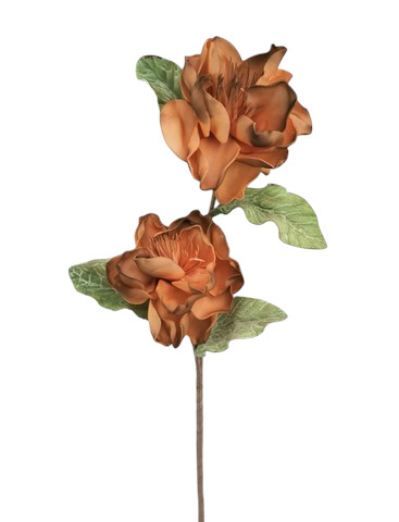 PEONIA FOAM X2 70CM OR