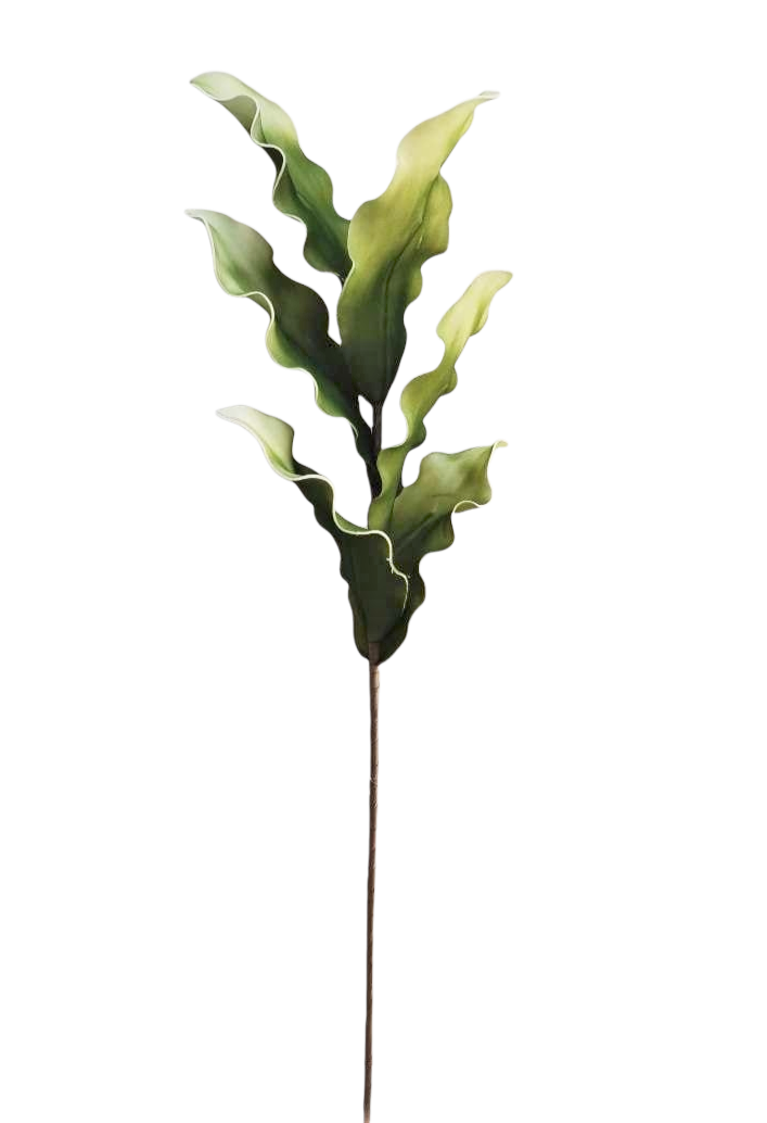 MAGNOLIA LVS FOAM SPRAY X6 90CM	GR