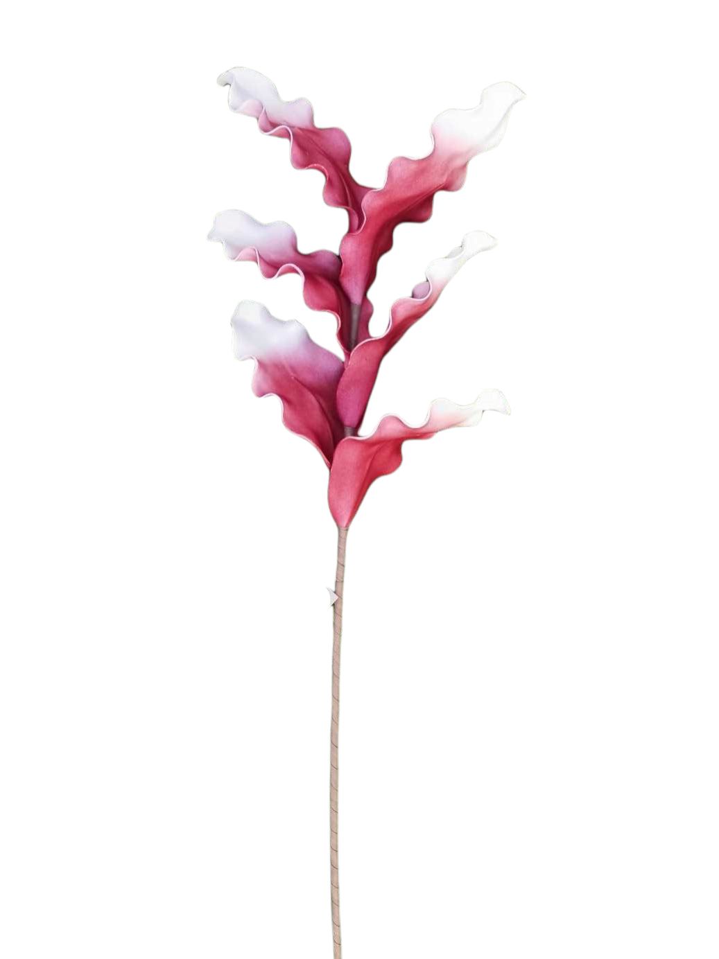 MAGNOLIA LVS FOAM SPRAY X6 90CM	PK