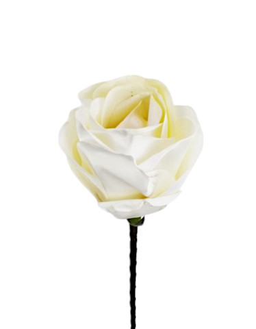 ROSA FOAM 76CM CR
